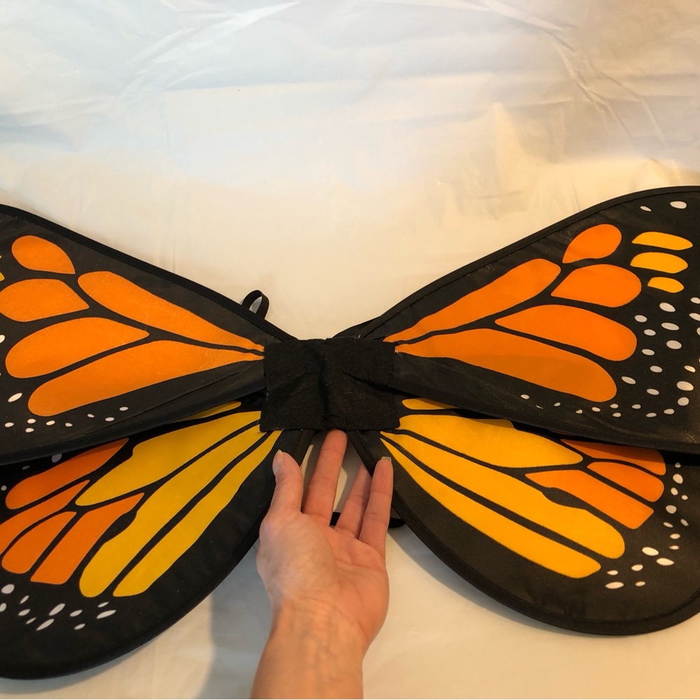 Butterfly wings orange yellow black